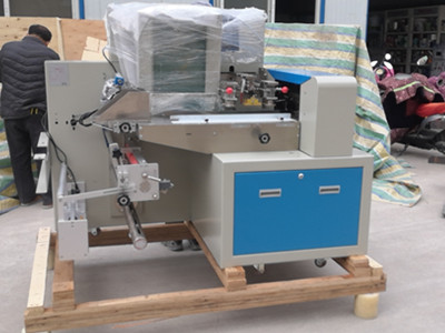 Delivery pillow type packing machine for fresh vegetable packing