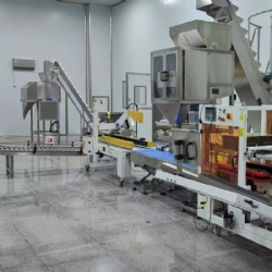 Customized packing machine production line project/food industry packing line